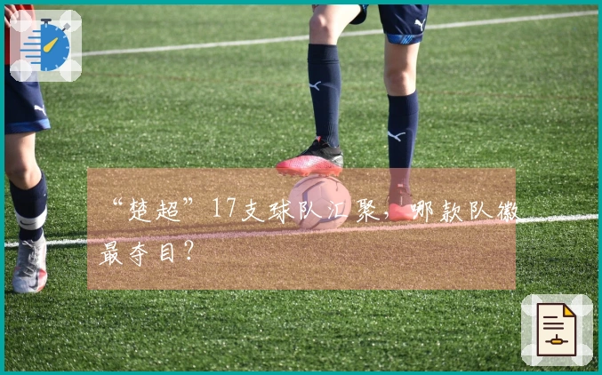 “楚超”17支球队汇聚，哪款队徽最夺目？