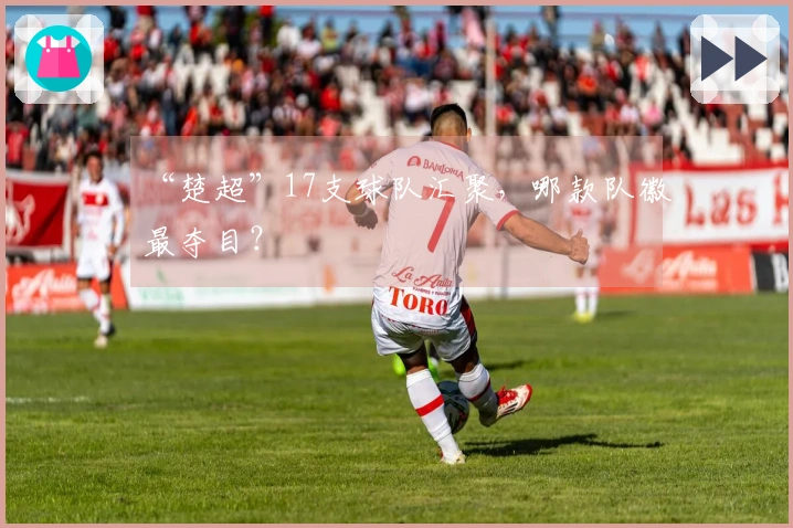 “楚超”17支球队汇聚，哪款队徽最夺目？